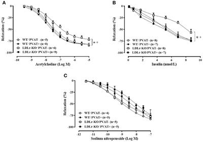 Protective Role of Perivascular Adipose Tissue in Endothelial Dysfunction and Insulin-Induced Vasodilatation of Hypercholesterolemic LDL Receptor-Deficient Mice